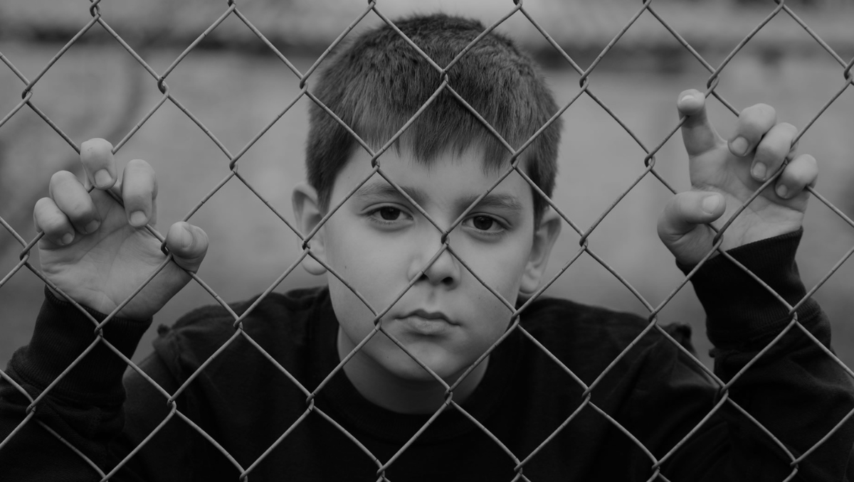 260 DAYS   featured image